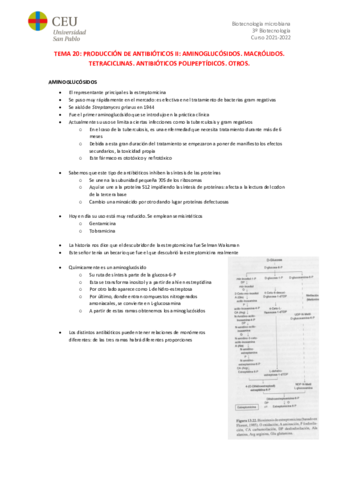 TEMA-20.pdf
