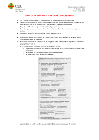 TEMA-19.pdf