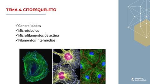 TEMA-4-HISTOLOGIA.pdf