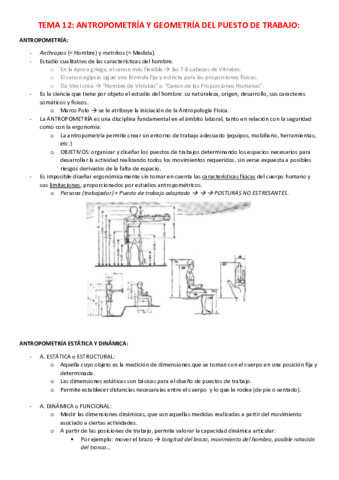 TEMA-12.pdf