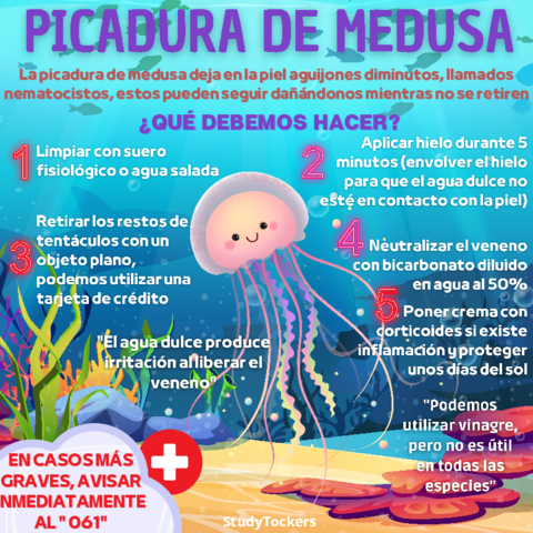 PICADURA DE MEDUSA ILUSTRACIÓN