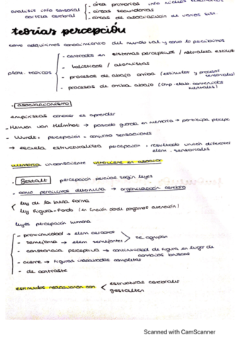 esquemas-T4-procesos-cognitivos-basico.pdf