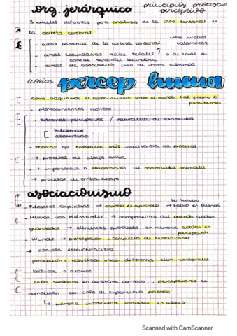 T4-procesos-cognitivos-basicos.pdf