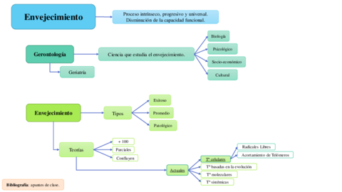 EsquemaEnvejecimiento.pdf