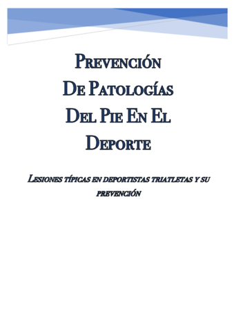 TrabajoPrevencionLesiones.pdf