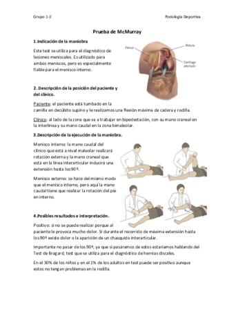 Resumen-Pruba-McMurray.pdf