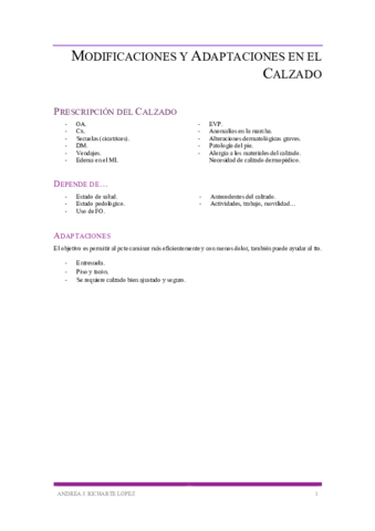 MODIFICACIONES-Y-ADAPTACIONES-EN-EL-CALZADO-.pdf