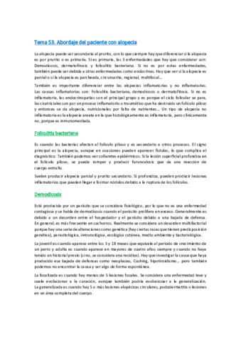 Tema-53.pdf