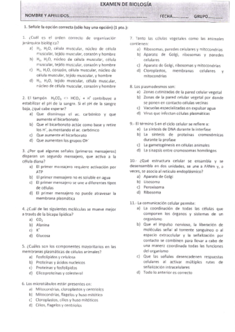TODOS EXAMENES.pdf