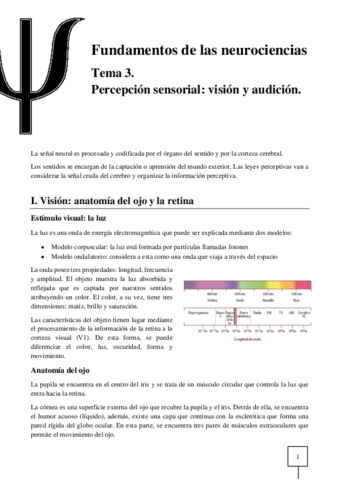 T03-Neurociencias.pdf