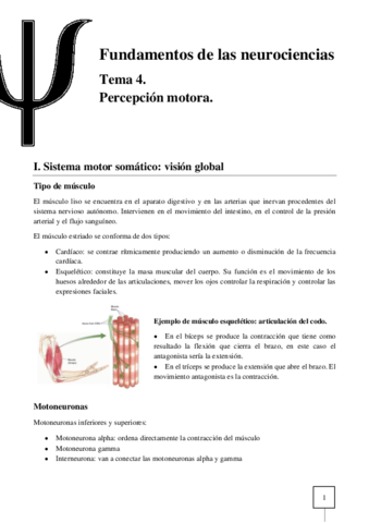 T04-Neurociencias.pdf