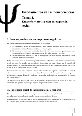 T11-Neurociencias.pdf