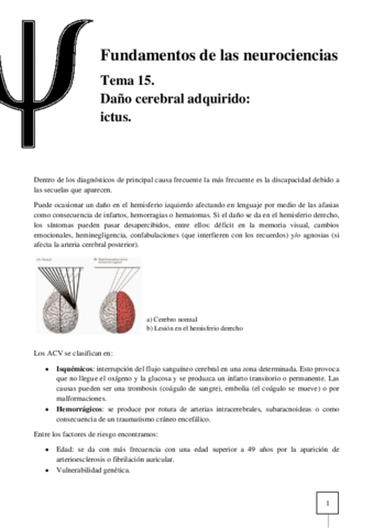 T15-Neurociencias.pdf