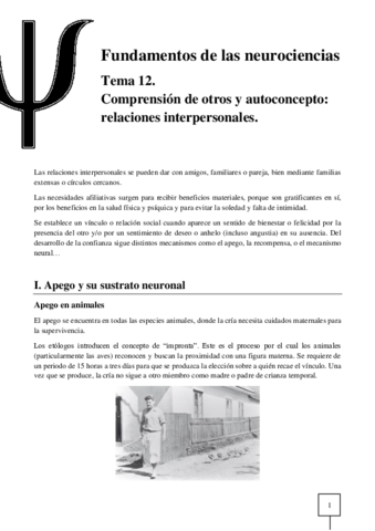 T12-Neurociencias.pdf