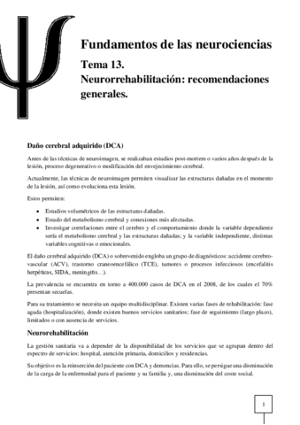 T13-Neurociencias.pdf