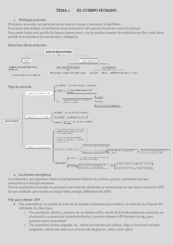 TEMA-1EL-CUERPO-HUMANO-1.pdf