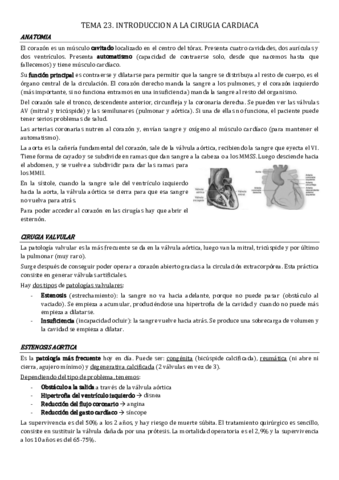 tema-23.pdf