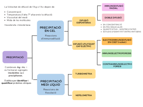 Tecniques-de-precipitacio.pdf