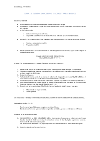 TEMA-16.pdf