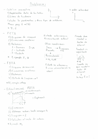 Pasos-problemas-bioreactoes.pdf