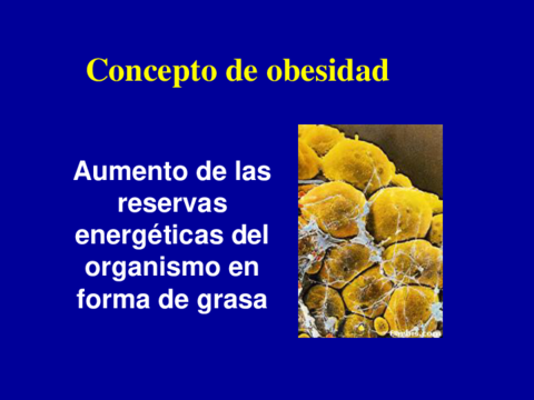 OBESIDAD-UCM.pdf