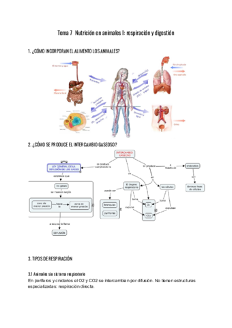 apuntes-Nutricion-en-animales-I.pdf