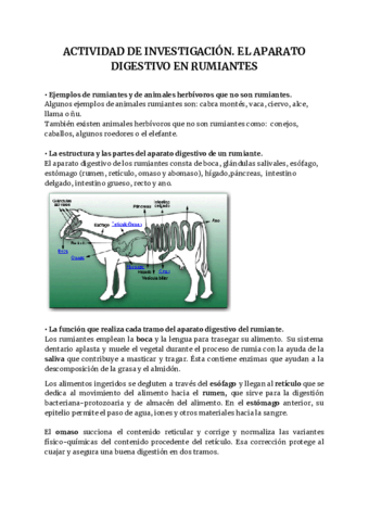 EL-APARATO-DIGESTIVO-EN-RUMIANTES-.pdf