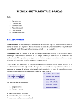Electroforesis .pdf
