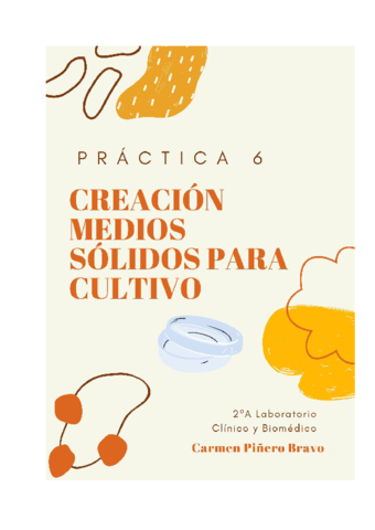 PRACTICA-6-CARMEN-PIAERO-BRAVO.pdf