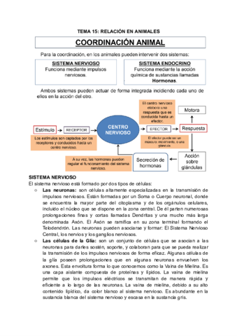 BG-15.pdf