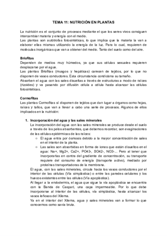 BG-11.pdf