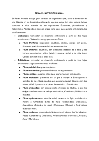 BG-13.pdf