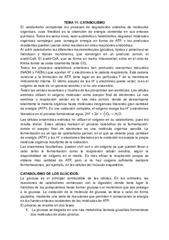 Resumen-bio-11.pdf