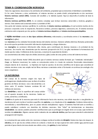 Tema-9-Sistema-nervioso.pdf