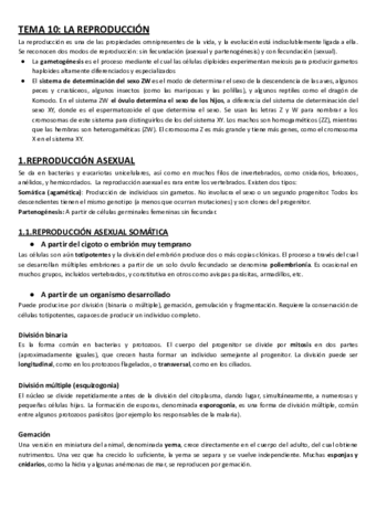 Tema-10-Reproduccion.pdf