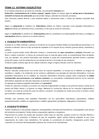 Tema-12-Sistema-esqueletico.pdf