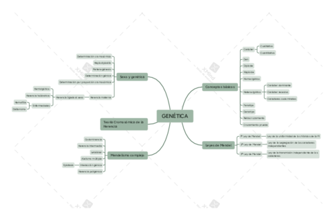 Mapa-conceptual-bio-13.pdf