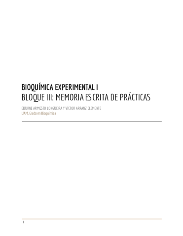 BEXI: memoria de prácticas de metodología.pdf