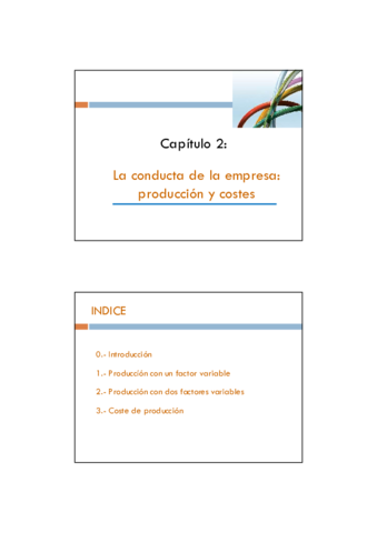 Diapositivas-CAPITULO-2-2-por-pagina.pdf