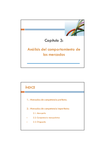 Diapositivas-CAPITULO-3-2-por-pagina.pdf