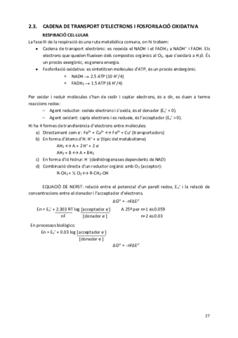 Cadena-de-transport-electrons-i-fosforilacio-oxidativa.pdf