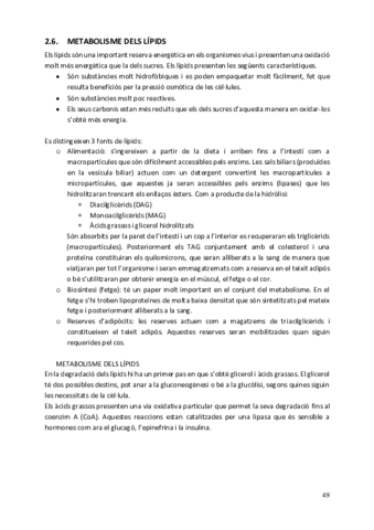 Metabolisme-dels-lipids.pdf