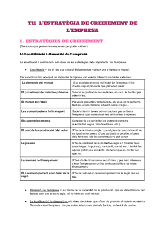 Estrategies-de-creixement-.pdf