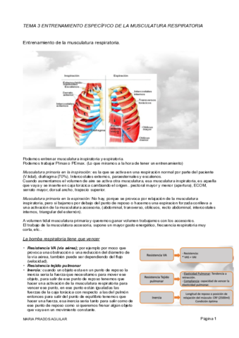 TEMA-3.pdf