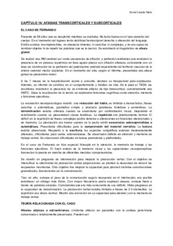 RESUMENES-CAPITULOS-14-Y-15-Documentos-de-Google.pdf