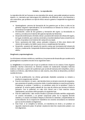 Resumen-anatomia-tema-4-1.pdf