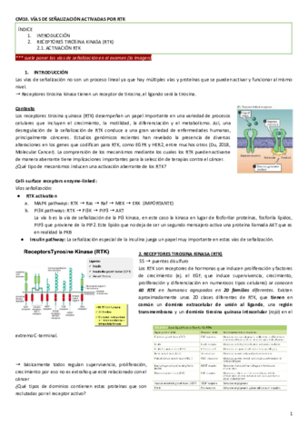 CM10.Vias de señalizacion activadas RTK