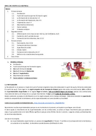 CM15.del zigoto a la gástrula.pdf