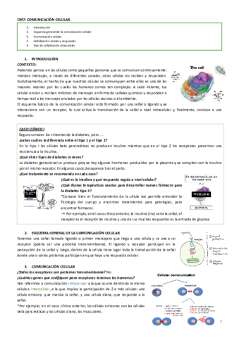 CM7.Comunicacion celular.pdf