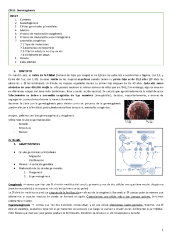 CM14. Gametogenesis.pdf